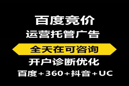 百度推广实战：成功案例解析